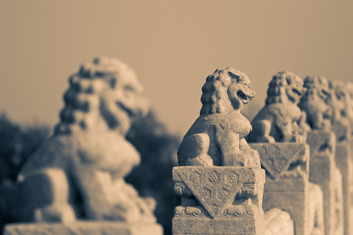 Stone Lions (by niklausberger)