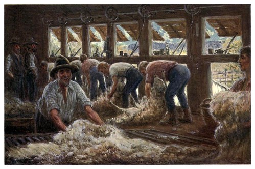 020-Esquilando ovejas-Australia (1910)-Percy F. Spence