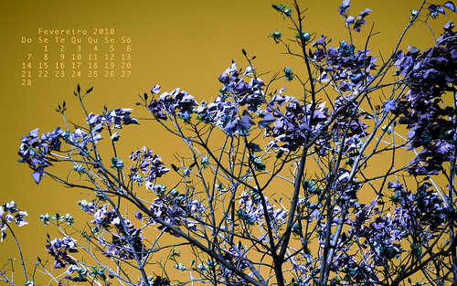 Desktop Calendário Wallpaper para Fevereiro de 2010
