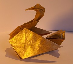 Cisne - Swan - Cygne (Roman Diaz)