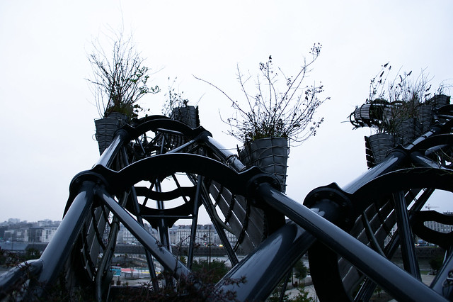 prototype / Image illustrant l'article. Photo légèrement à contre-jour d'un bout de branche de l'arbre aux hérons, avec des jardinières avec des plantes qui poussent, sur fond de ciel gris lumineux.