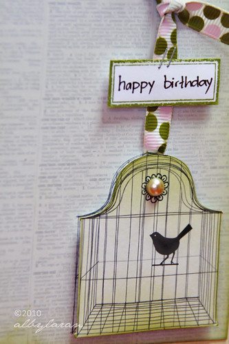 Birthday Birdcage 2