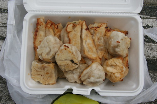 Fried Dumpling 012