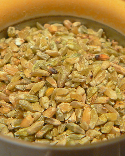 Freekeh in the grinder