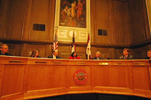 Asheville City Council 2010