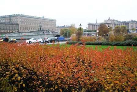 Estocolmo - Tras las huellas de “Millenium” en un Estocolmo otoñal (4)