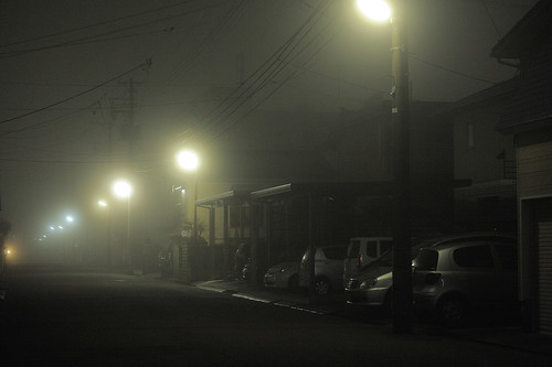 Fog street light