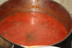 Tomato Sauce (Photo by Frances Wright)