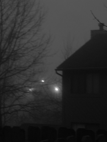 fog enshrouded dawn