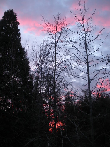Winter Sky -Sunset 2