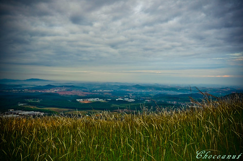 view from broga