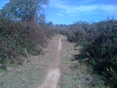  Yargo Main Trail