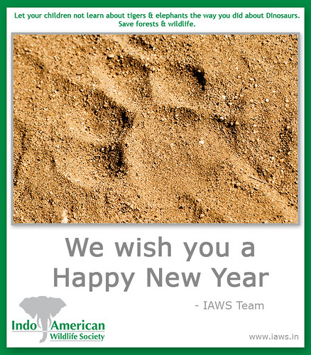 iaws-2010-new-year-wishes-3