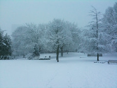 Weston Park Snow