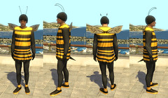 Home Bee Costume