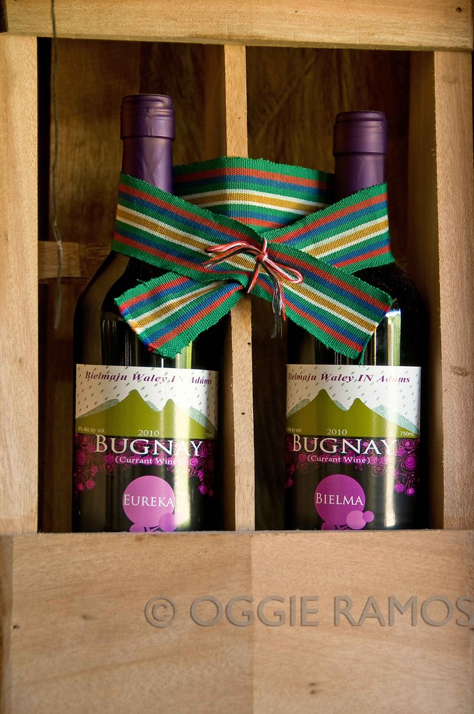 Ilocos Norte - Adams Bielma Bugnay Wine