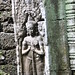Ta Prohm, Buddhist, Jayavarman VII, 1181-1220, dedicated to the mother of the king (157) by Prof. Mortel