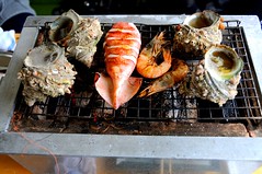 Turbanshells, squid, prawns, Matoya Bay Cruise