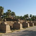 Temple of Luxor, Avenue of the Sphinxes (2) by Prof. Mortel