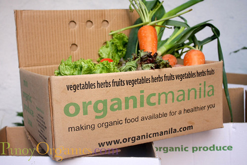 OrganicManila-small box