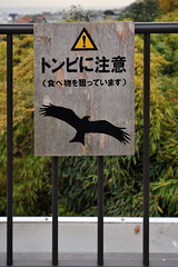 Tokyo 2009 - 鎌倉 - 長谷寺(16)