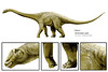090706-03-new-huge-dinosaur-Clancy_Cretaceous