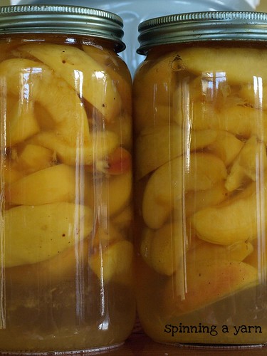 Bottled Peach slices
