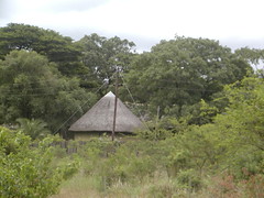 Zulu Hut