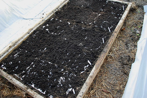 sowing seed mats 2
