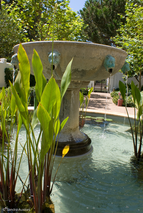 The Getty Villa- East Garden fountain