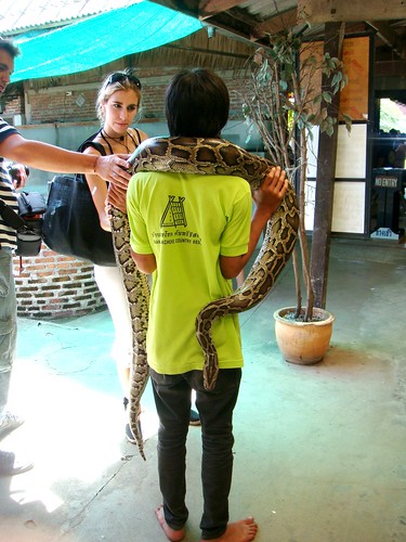 Thailand: Elephant Ride and Snake Show