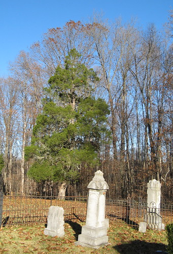 Headstones at the cemetery
