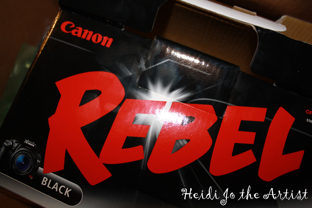 Canon Rebel Box
