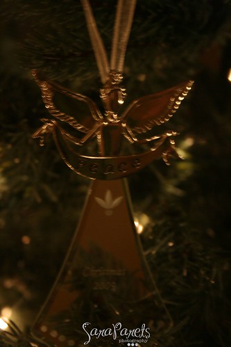 Our 2009 ornament