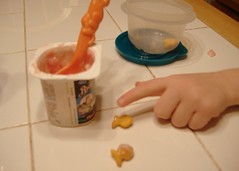 yogurt & goldfish