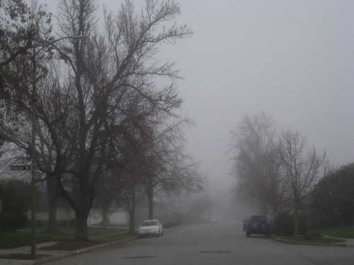 Thick fog