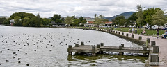 Rotorua Lake Park