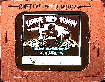 CAPTIVE WILD WOMAN (1943) Slide