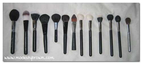 face brushes1