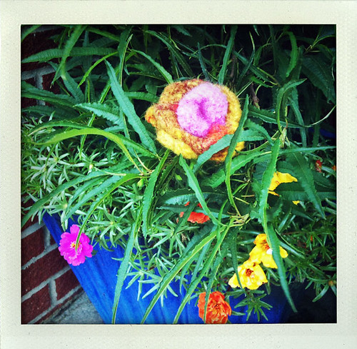 Yarn Bomb Felted Flower  in flower pot