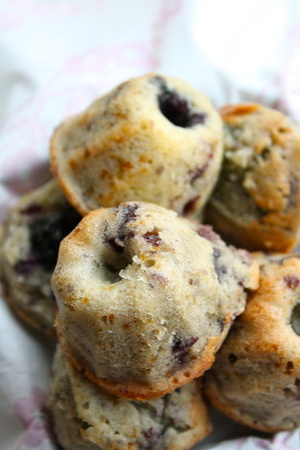 bleuberry muffin