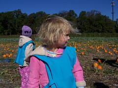Q3 in the pumpkin patch