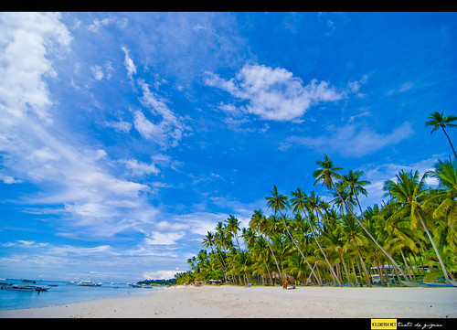 panglao island beachfront