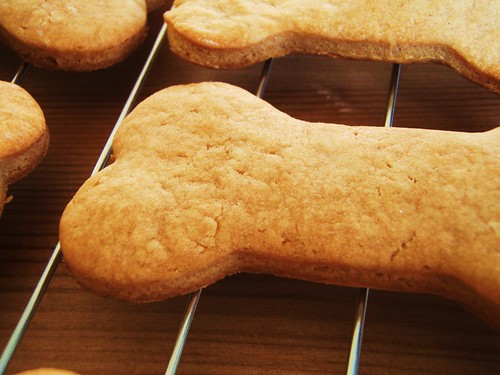 peanut butter dog treats in dog biscuit shapes - 17