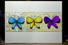 Butterfly Trio 