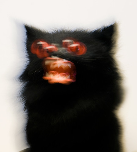 Terror Cat