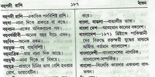 bangla dictionary