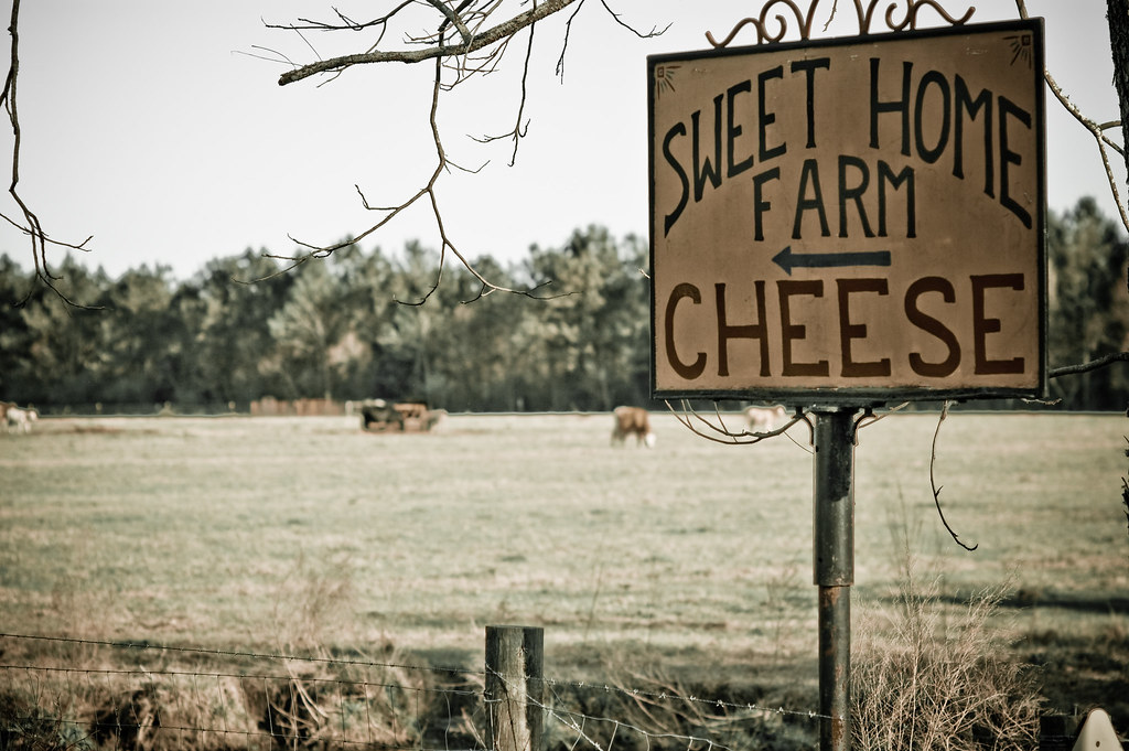 "Poets have been mysteriously silent on the subject of cheese."