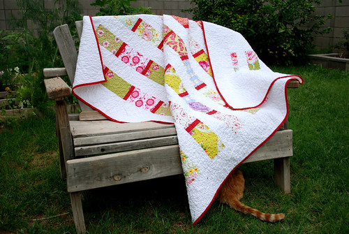 quilt and kitty