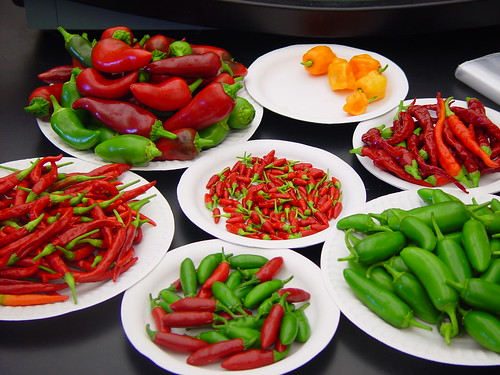 In Praise of Peppers